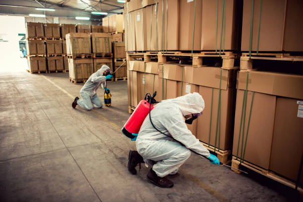 Wildlife Control Services in Beachwood, OH