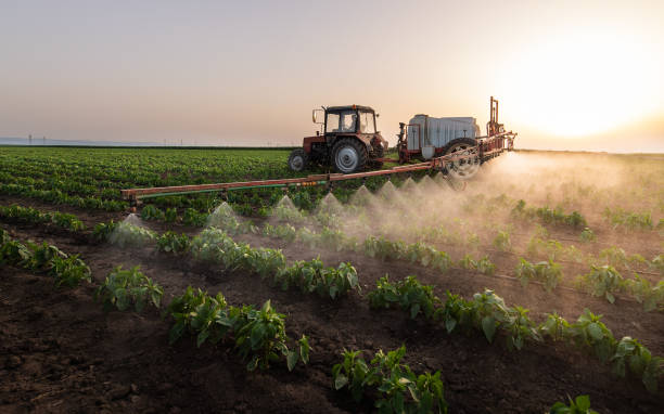 Best Commercial Pest Control Services  in Beachwood, OH