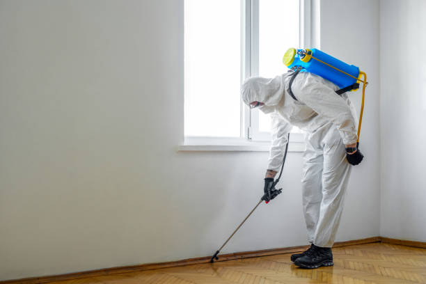Best Pest Prevention Services  in Beachwood, OH