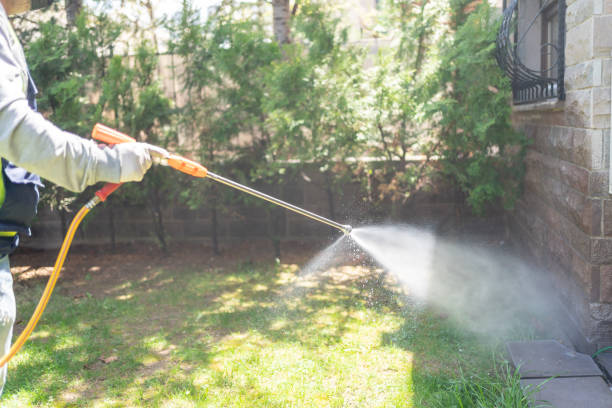 Reliable Beachwood, OH Pest Control Solutions