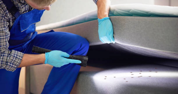 Best Pest Removal Services  in Beachwood, OH