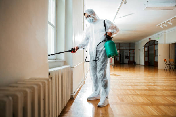 Best Wasp Removal Services  in Beachwood, OH