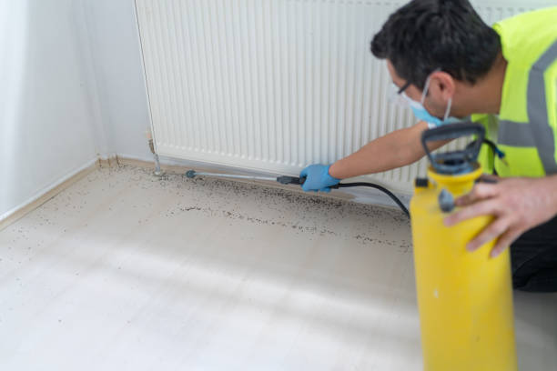 Best Rat Extermination Near Me  in Beachwood, OH